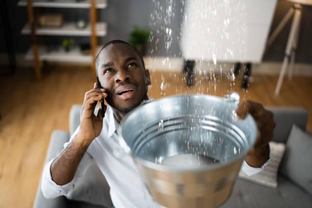 Best Carpet water damage restoration  in Chantilly, VA