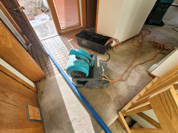 Best Sewage cleanup and water damage restoration  in Chantilly, VA