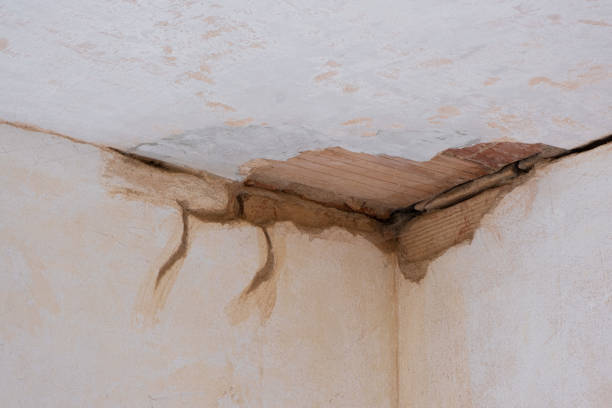 Best Local water damage restoration  in Chantilly, VA