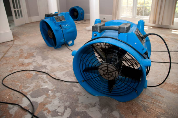 Best Water damage restoration near me  in Chantilly, VA